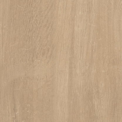 24159 | Zelfkl. rozet (17 mm) zachte eik warm grijs (10 st.)